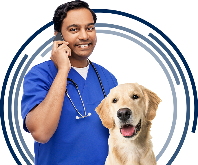 Contact Southeast Veterinary Dentistry and Consulting Tennessee