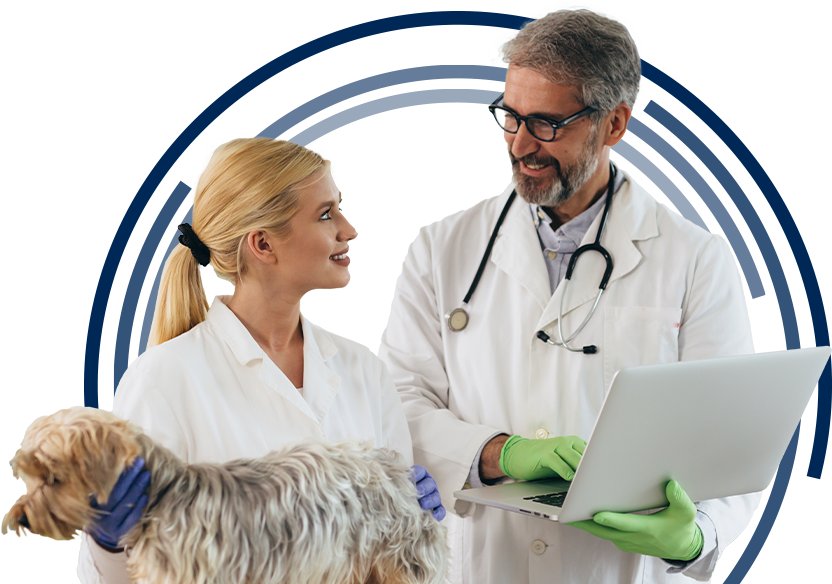 Veterinary Dental CE Programs Tennessee