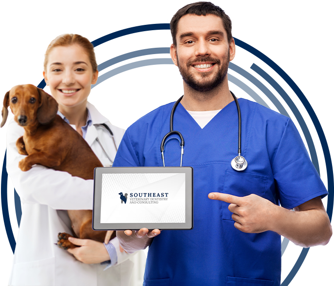 Veterinary Dental Lectures Tennessee