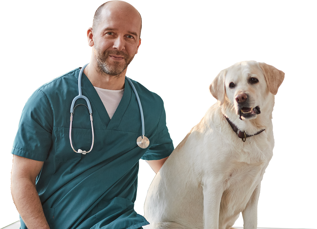Advanced oral care treatments and training should be accessible to all general practice veterinarians.