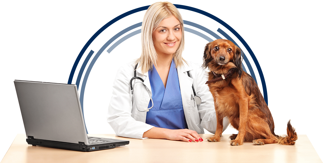 Veterinary Dental Resources